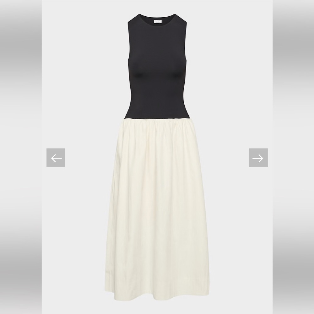 Aritzia Babaton Worldly dress size small